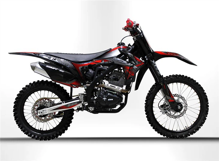 جنگل   جاده   Motocross